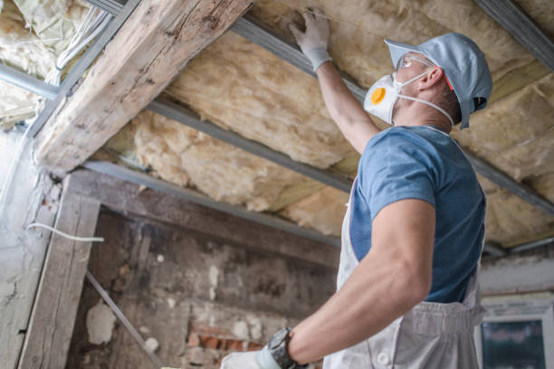 Best Insulation for Specific Applications in Rancho San Diego, CA