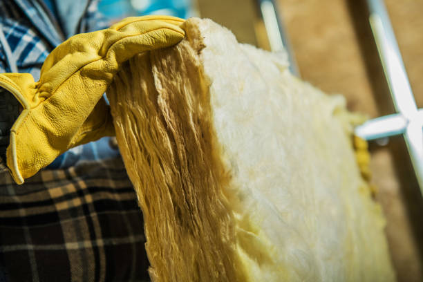 Best Insulation Materials and Products in Rancho San Diego, CA